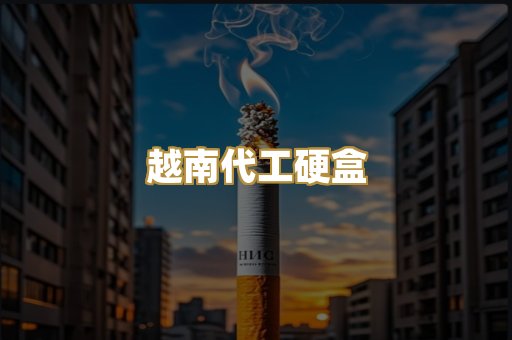 越南代工硬盒